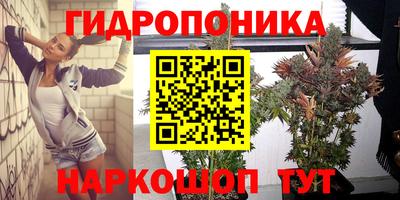 скорость Будённовск